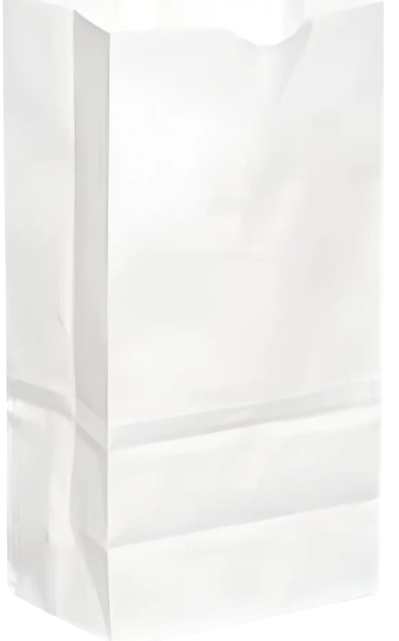 SACS PAPIER BLANC 7LBS 500/C