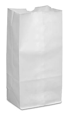 SACS PAPIER BLANC 14LBS 500/C