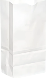 [793007] SACS PAPIER BLANC 7LBS 500/C